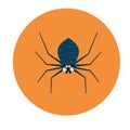 Big scary blue spider on a yellow background